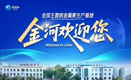 金河生物亮相第三十届中国饲料工业展：以专业力量共绘行业新蓝图